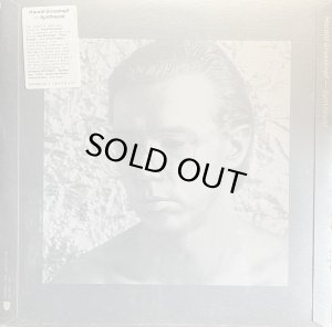 画像1: HARALD GROSSKOPF/SYNTHESIST (1)