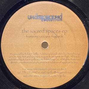 画像1: ROBERT GRILLO -  THE SACRED SPACES EP (1)