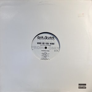 画像1: RAS KASS - WHAT DO YOU WANT (1)