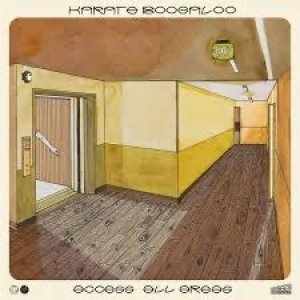 画像1: KARATE BOOGALOO - ACCESS ALL AREAS (PINK VINYL) (1)