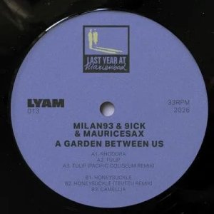 画像1: MILAN93 & 9ICK & MAURICESAX - GARDEN BETWEEN US (1)